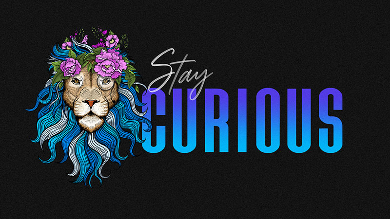 Stay Curious